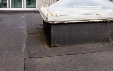 disadvantages of Windygates flat roofs