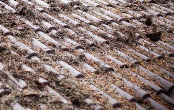 Windygates roof cleaning companies