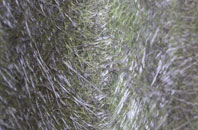 Windygates fibreglass roof work